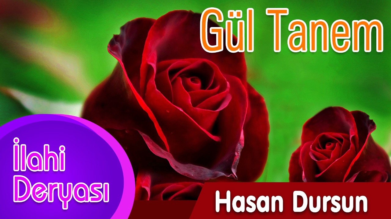 Hasan Dursun - G&uuml;l Tanem