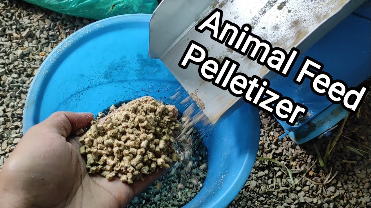Multi purpose pellet making machine - Animal feed into cash cow - Machines in Kenya S1E1