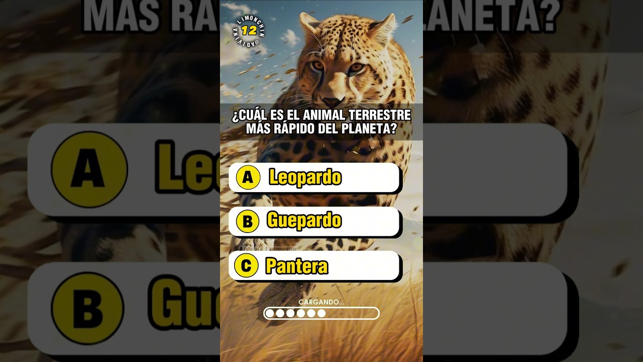 Quiz de Animales😼🧠 #animales #animal #aprender #cultura #preguntas #trivia #triviador #adivinanza