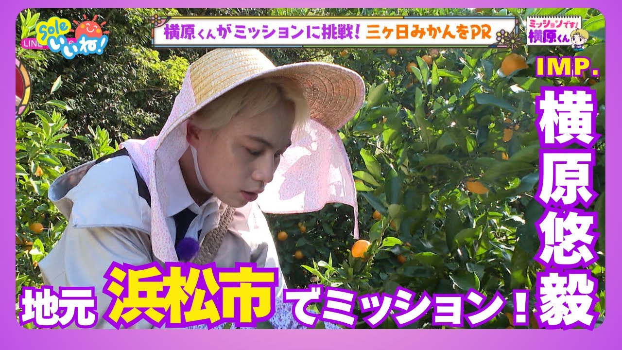 【IMP.横原悠毅が地元凱旋】浜松市から三ヶ日みかんを世界に！？「ミッションです！横原くん」【Soleいいね！】