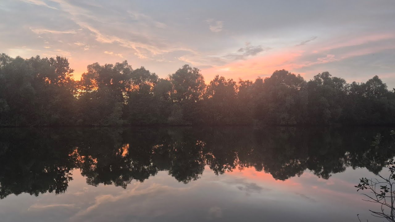 A Walk Around Noute 2 Domaine Noute Etang Carp Fishing Lake France 2025