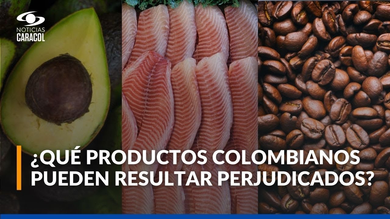 ¿Cómo los aranceles impuestos por Donald Trump pueden afectar a empresas y consumidores?