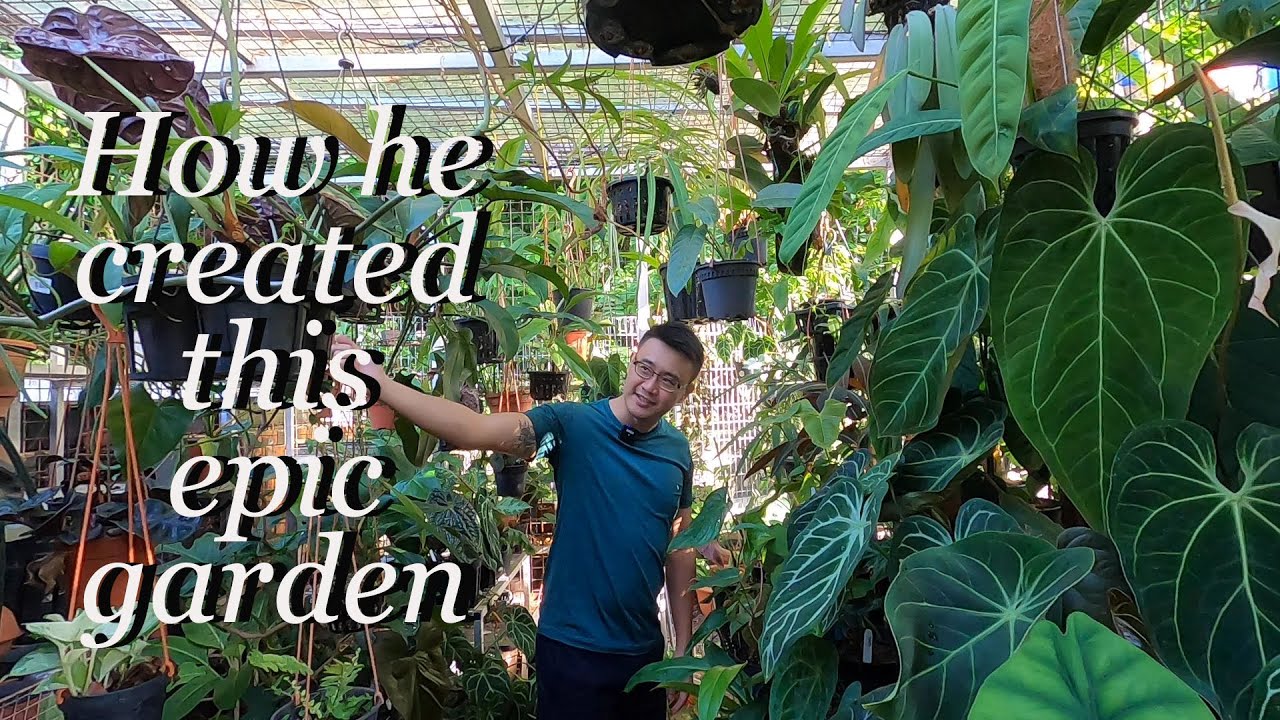 How Russel Created His Garden Paradise (Interview) | Dogs and Exotic Garden Plants ❤️ (Singapore)