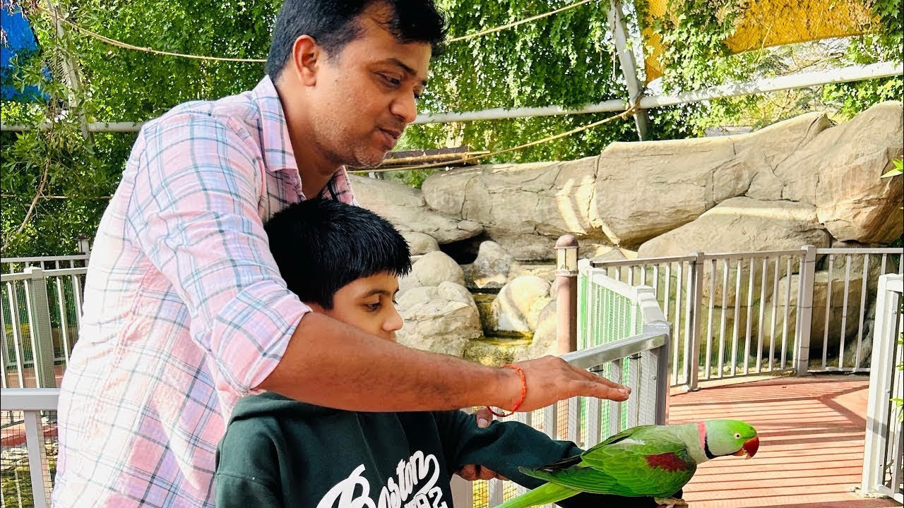 Dubai Safari Park🦁Wild Adventure u Won’t Believe Inside Dubai Safari Park Lions,Giraffes Much More!