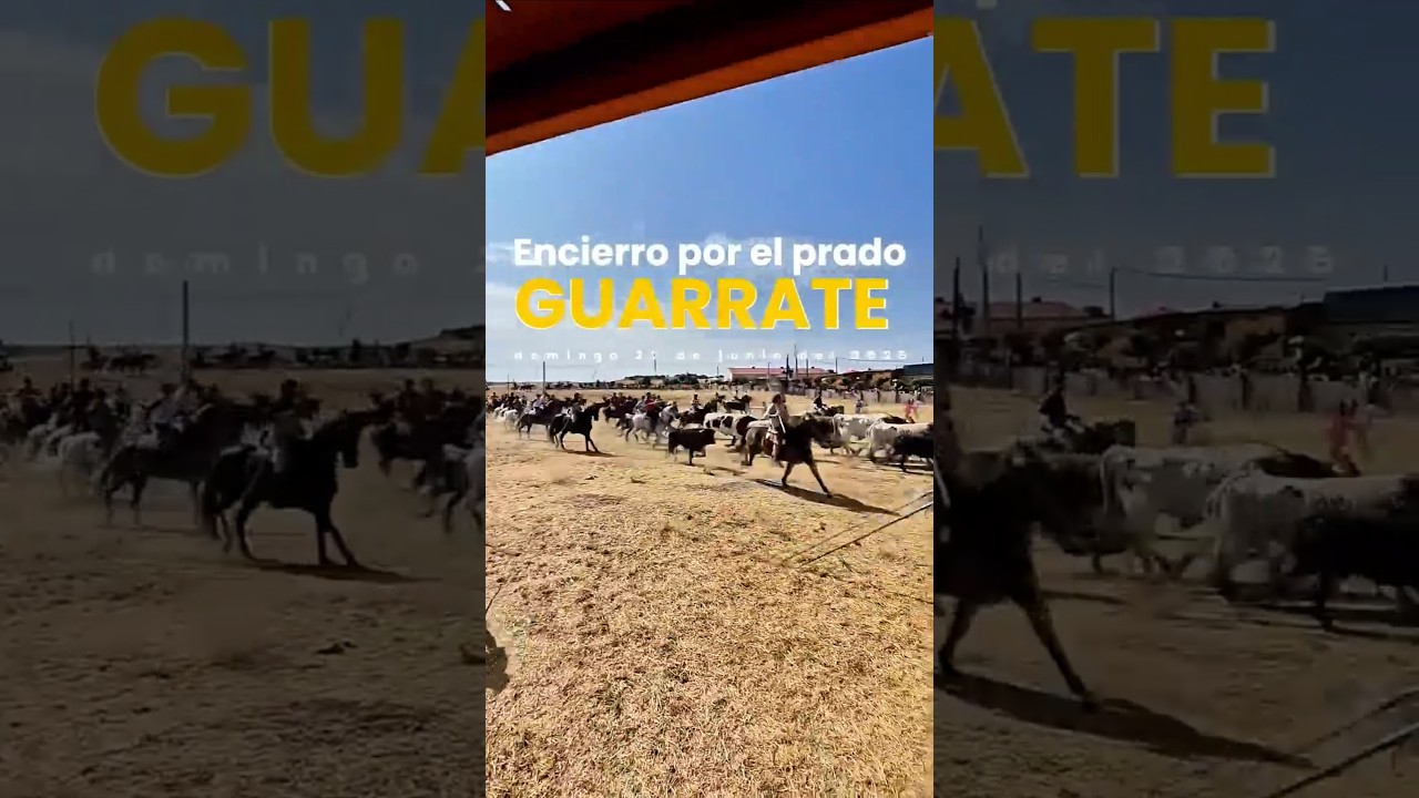 GUARRATE 2025 🐃🇪🇸 Domingo 22 de junio