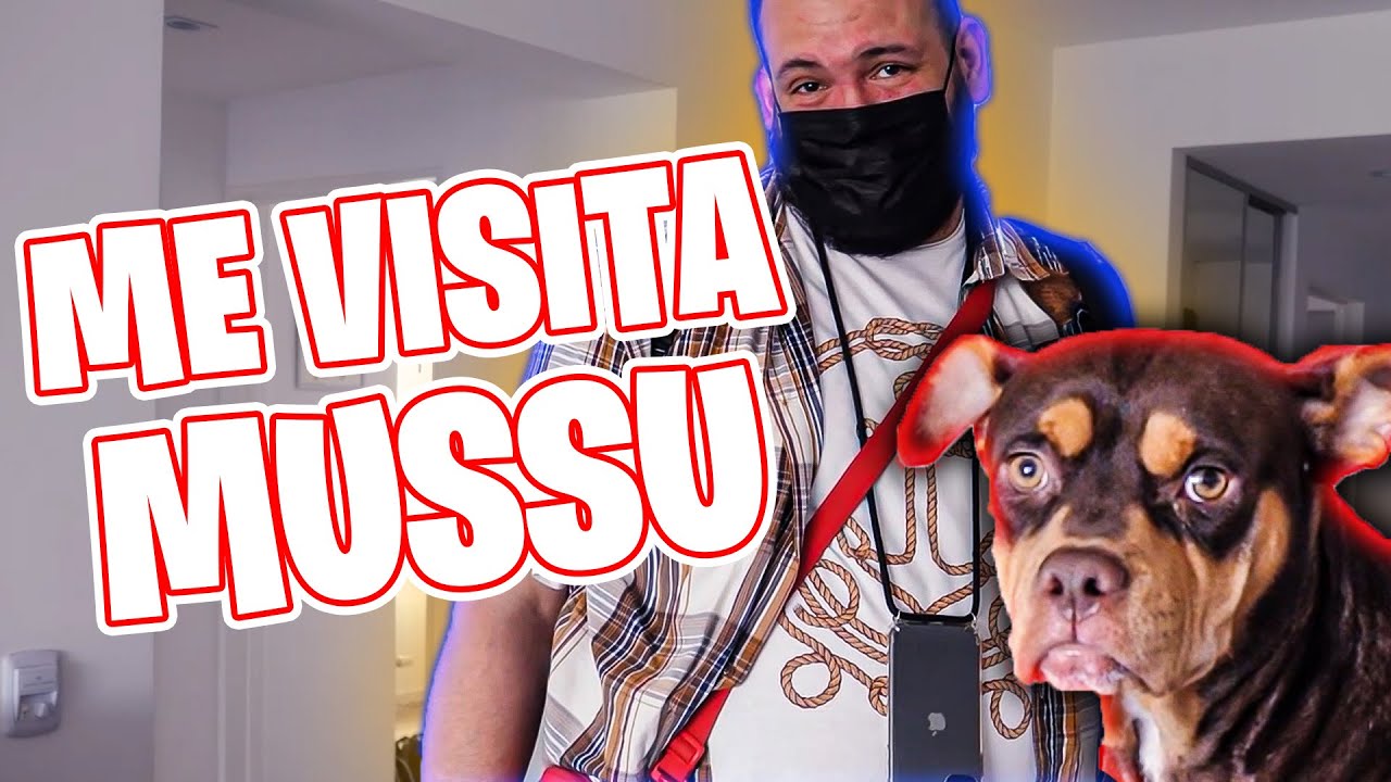 TENEDORLIBRE me ENSEÑA a COCINAR