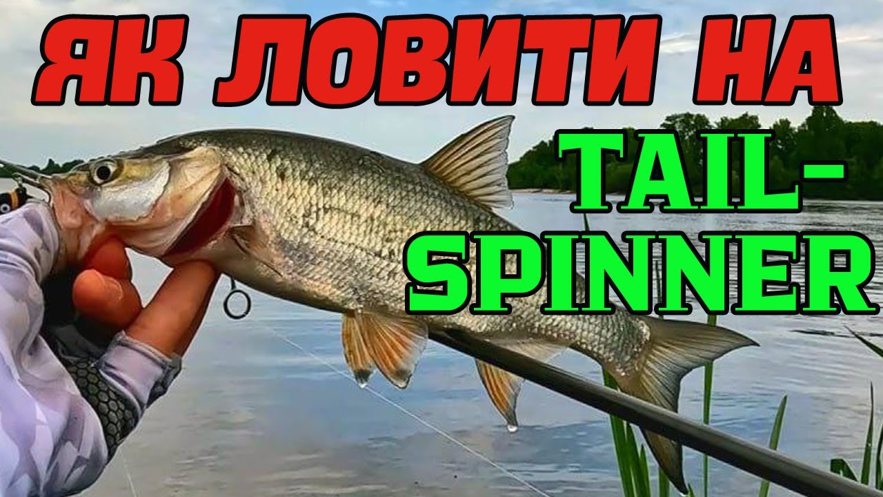 💥 ЯК ЛОВИТИ НА TAIL-SPINNER 💥