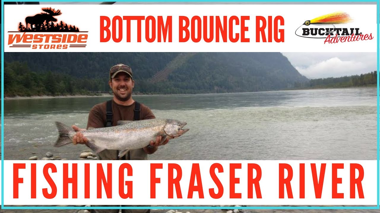 Bottom Bounce Rig For Sockeye/Chinook on The Fraser River : 2018