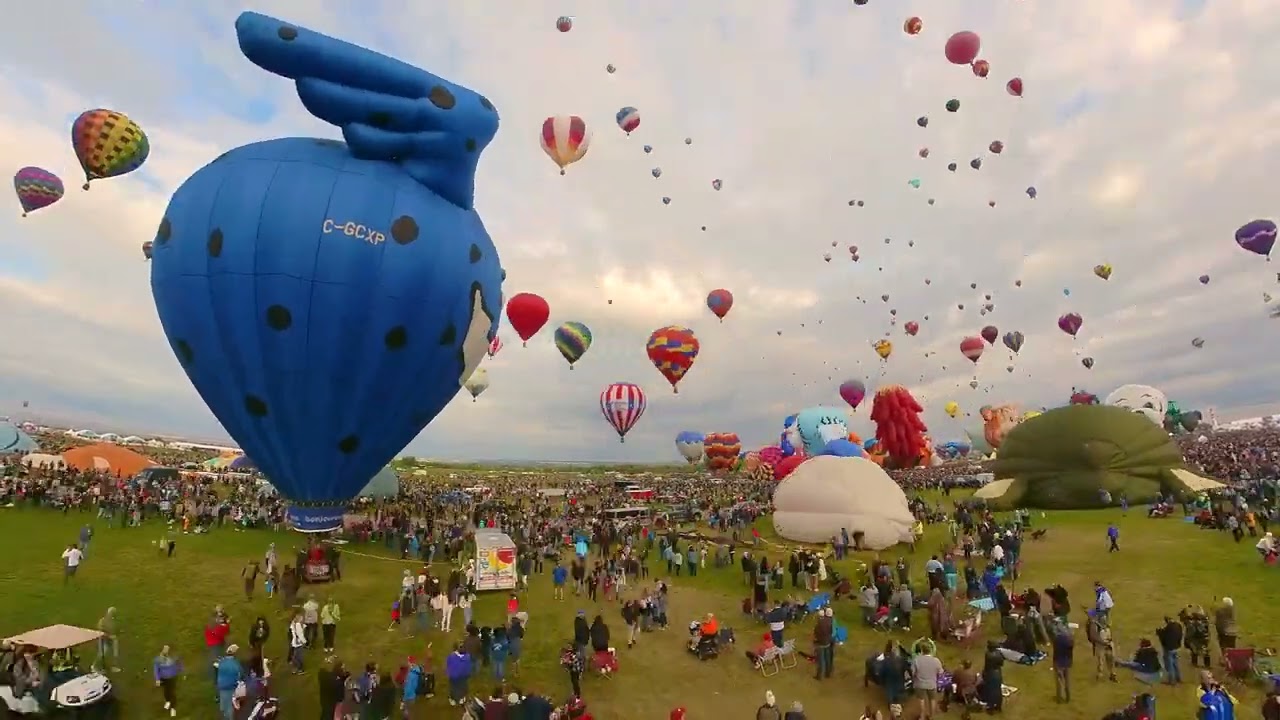 AIBF - Day 7 Special Shapes Rodeo 4K