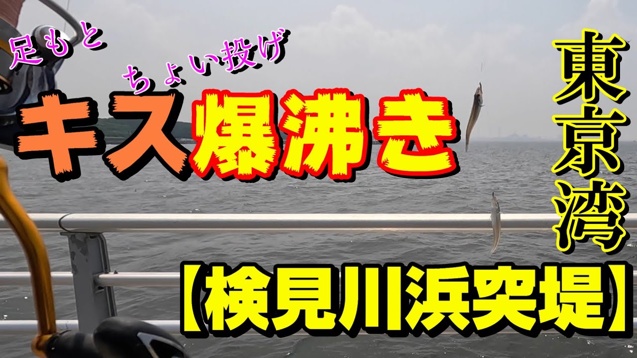 キス爆沸き！ちょい投げ/足元で釣れる！東京湾【検見川浜突堤】