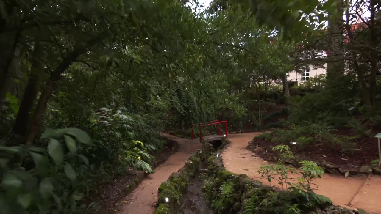 Jardim Botânico Tropical