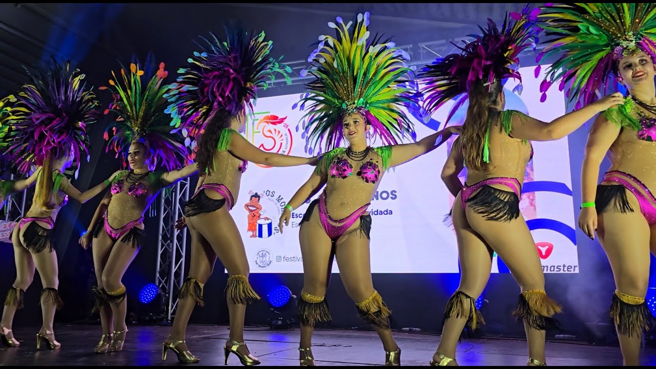 Morenos - Vai Vai 2015 @Festival de Samba de Estarreja 2025
