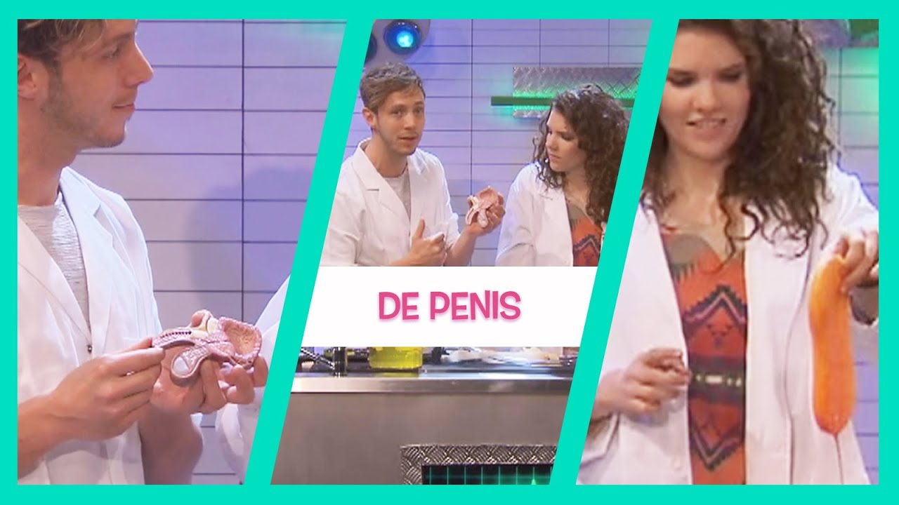 DE PENIS - TOPDOKS LABEXPERIMENT