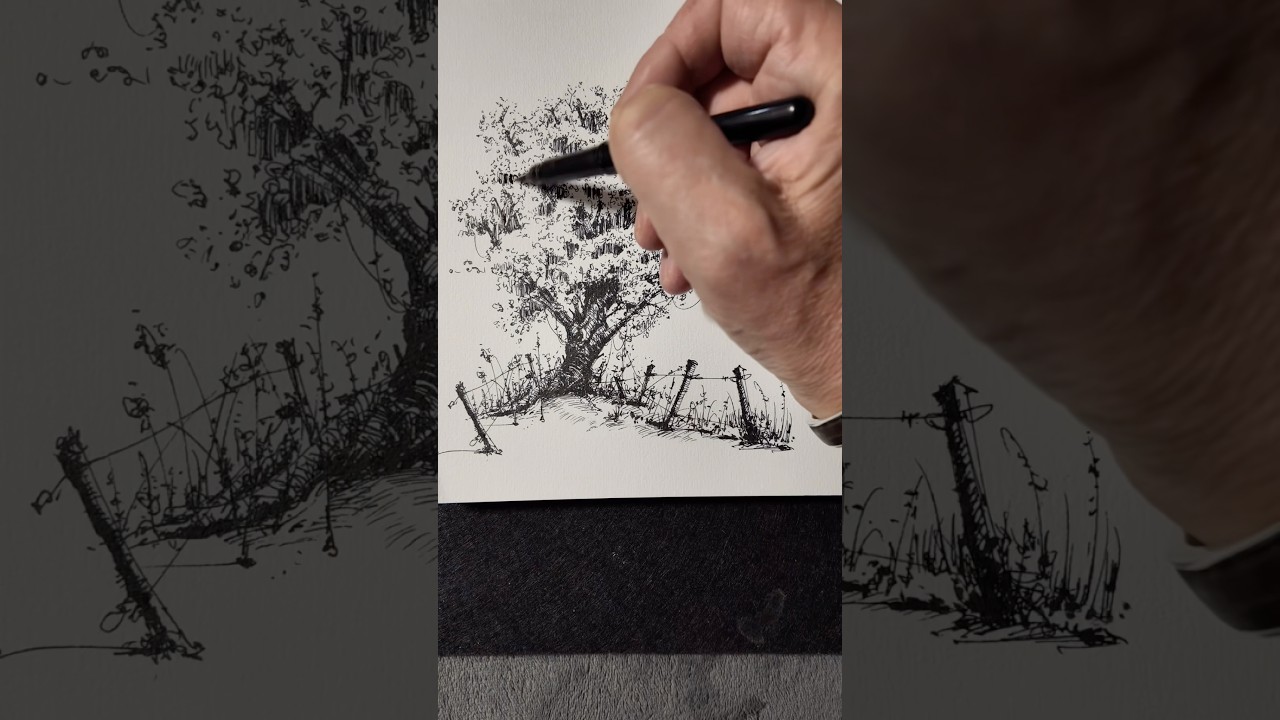 Drawing a tree with ink and fountain pen and a brush pen. #inkdrawing