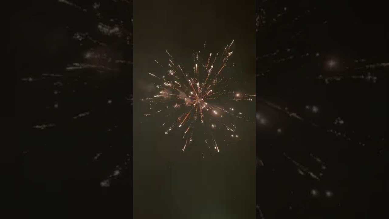 Miss Piggy Goes Bang 19 Shot Firework