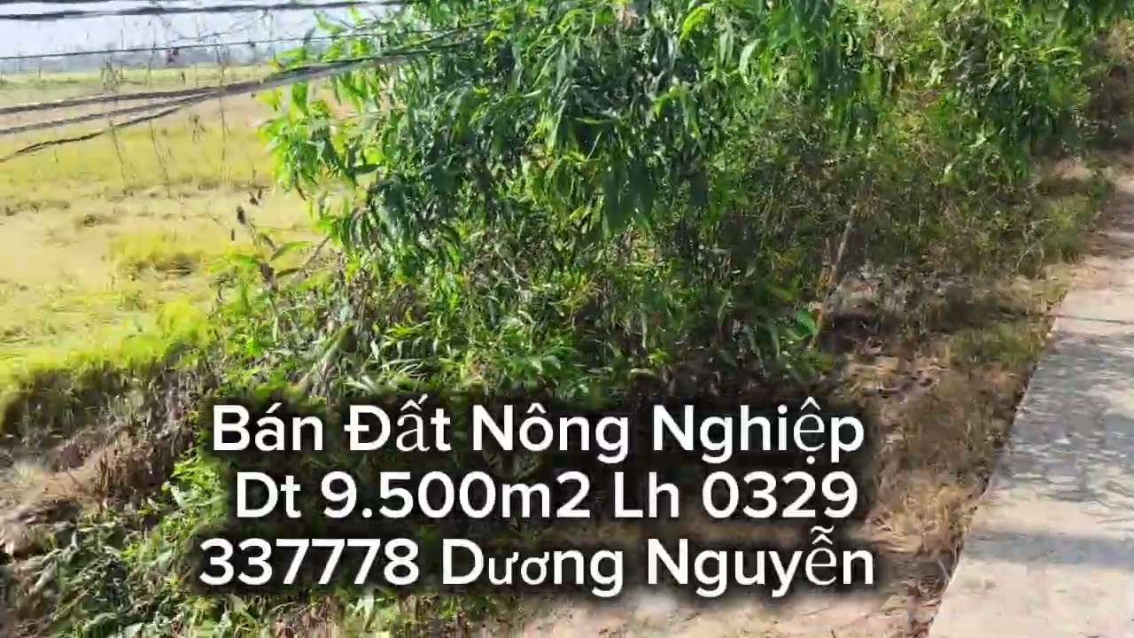 Nhà Đất Bán Đất Nông Nghiệp Dt 9.500m2 Giá 175tr Công/1000m2 Tân Thạnh Long An Cũ Tây Ninh Mới 