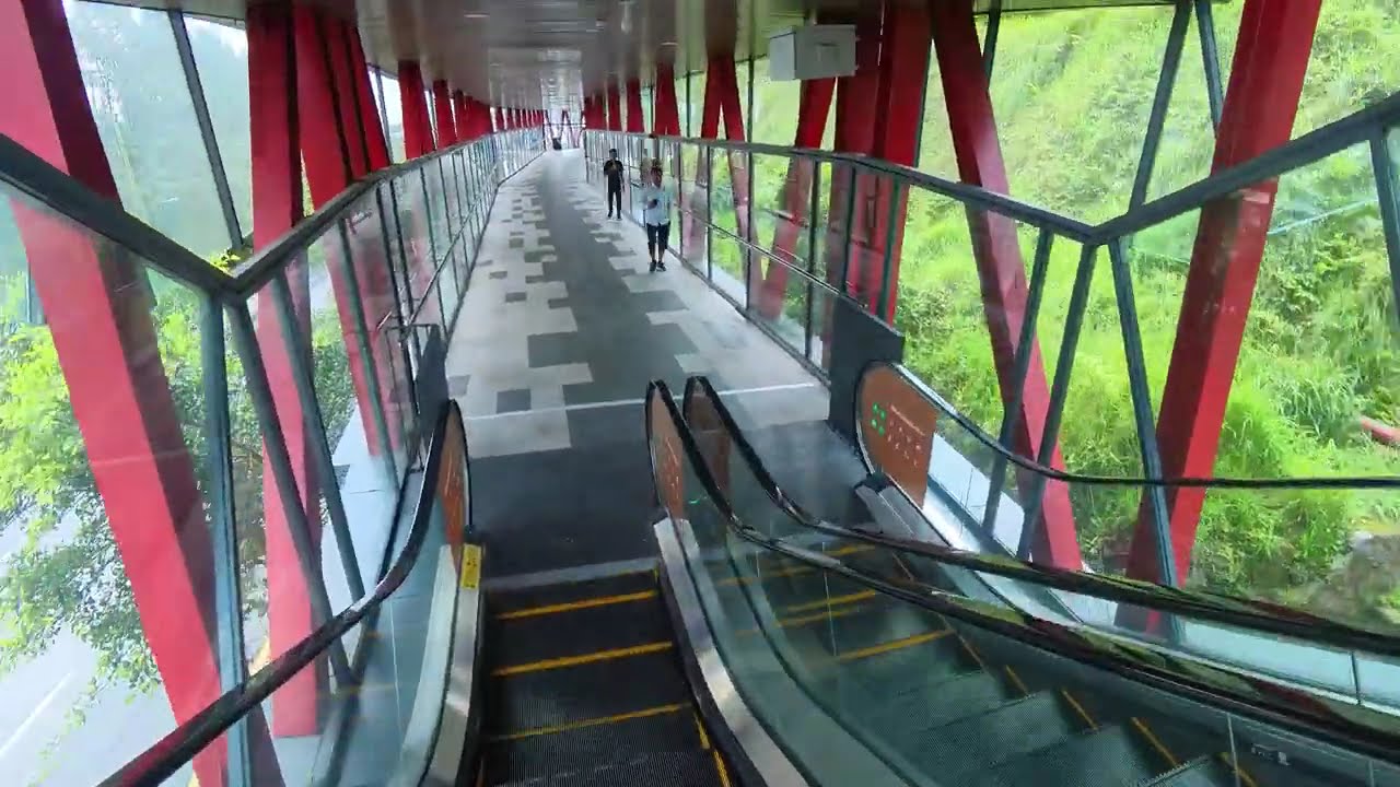 云顶教你快速用最新的antara link bridge