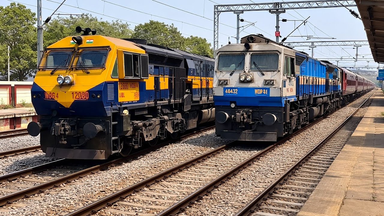 All in One Train| Freight+Express+Local Train #06