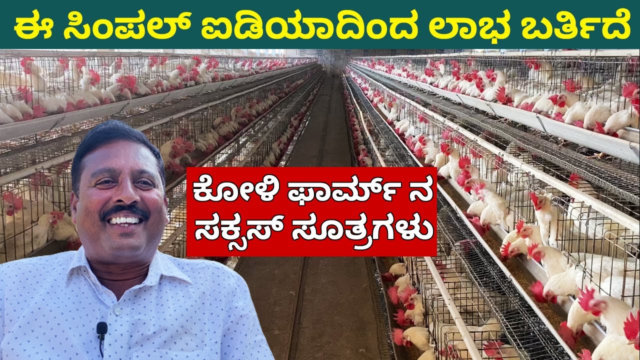 ಈ ಸಿಂಪಲ್ ಐಡಿಯಾದಿಂದ ಕೋಳಿ ಫಾರ್ಮ್ ನಲ್ಲಿ ಲಾಭ ಬರ್ತಿದೆ ಅದು ಏನು ಗೊತ್ತಾ | Poultry farming in Kannada