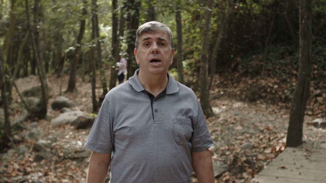 #EquilibriNatural: la gestió forestal als espais naturals
