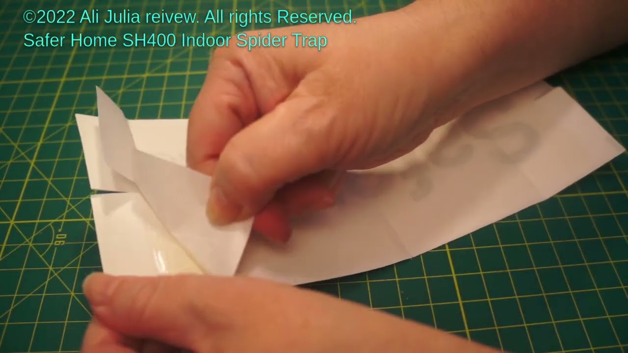 Ineffective Safer Brand Safer Home SH400 Indoor Spider Trap (product review)