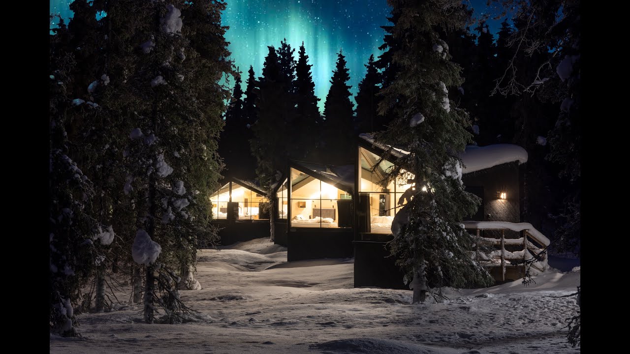 Winter Wanderland at Magical Pond