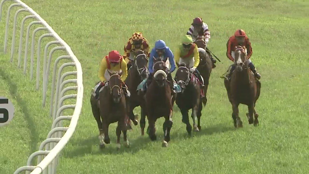 D'ARTAGNAN : BANGALORE TURF CLUB KARNATAKA JUVENILE MILLION GR III (65)