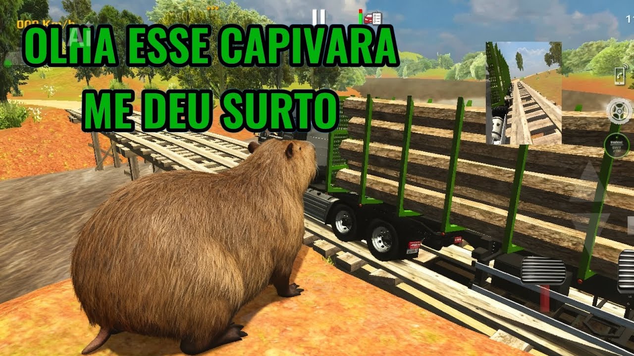 Saindo do centro de distribuição CVB para entregar a carga 