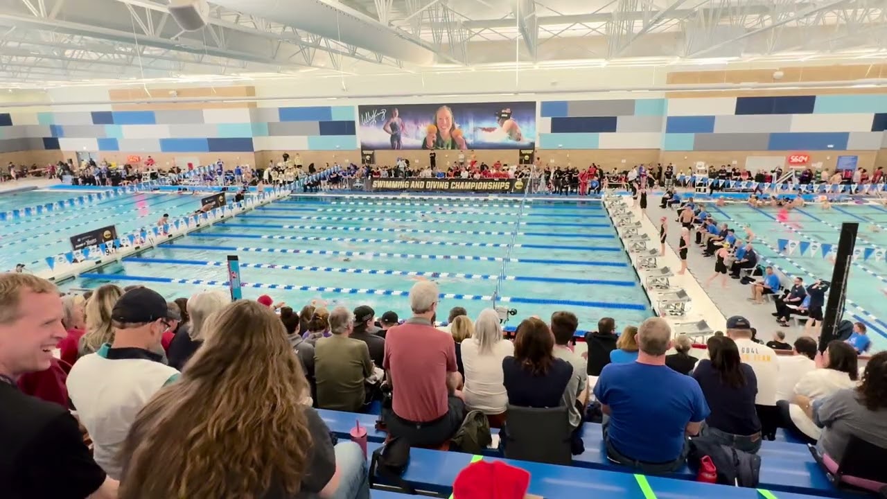 500 Freestyle  NH