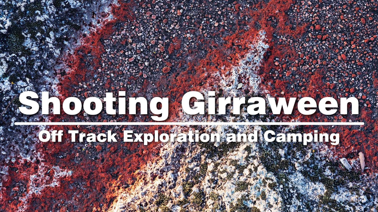 Landscape Photography in Girraween NP | Shooting in Peak Wild Flower Season