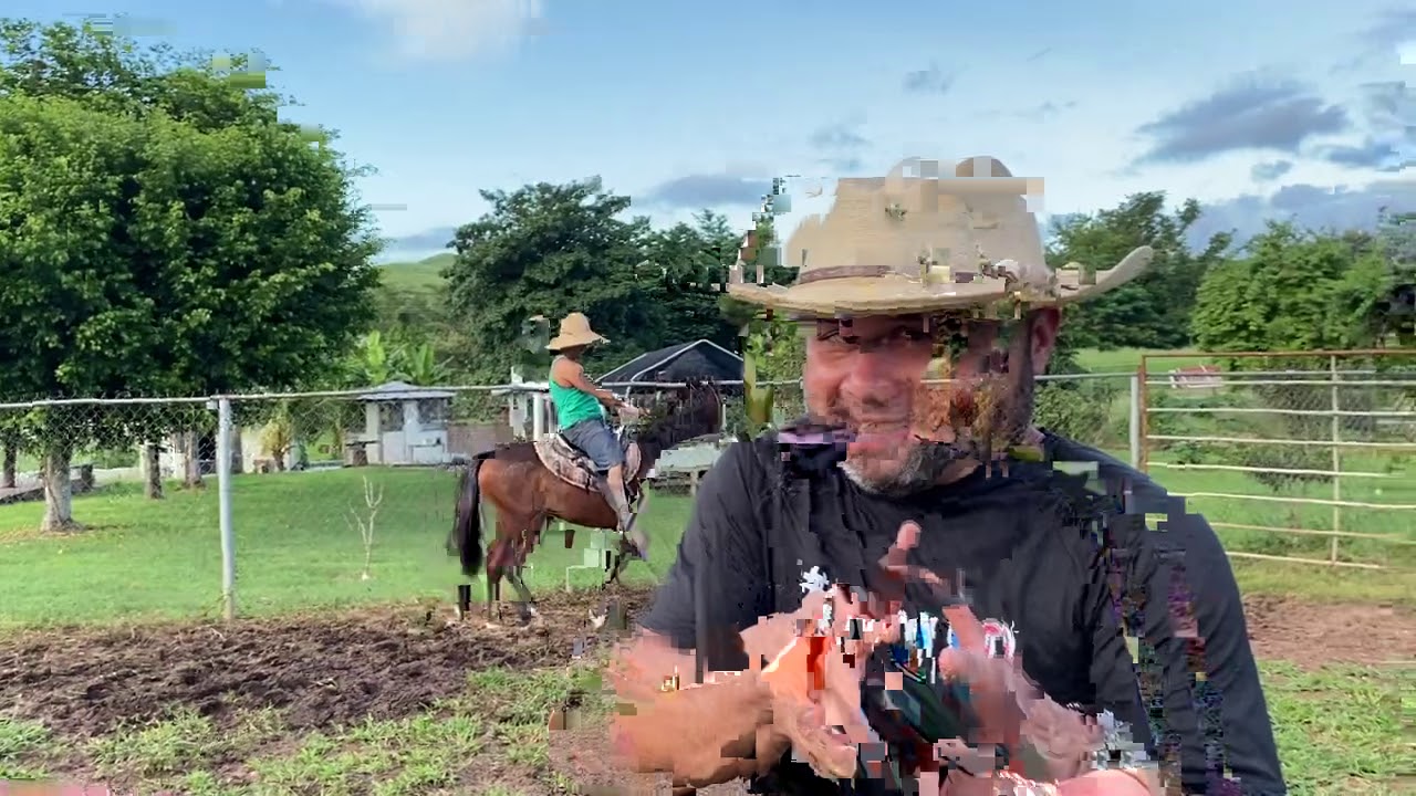 Cómo iniciar un potro cerrero, y lleno de espantos? #caballo #domaracional #vidaderancho #vs