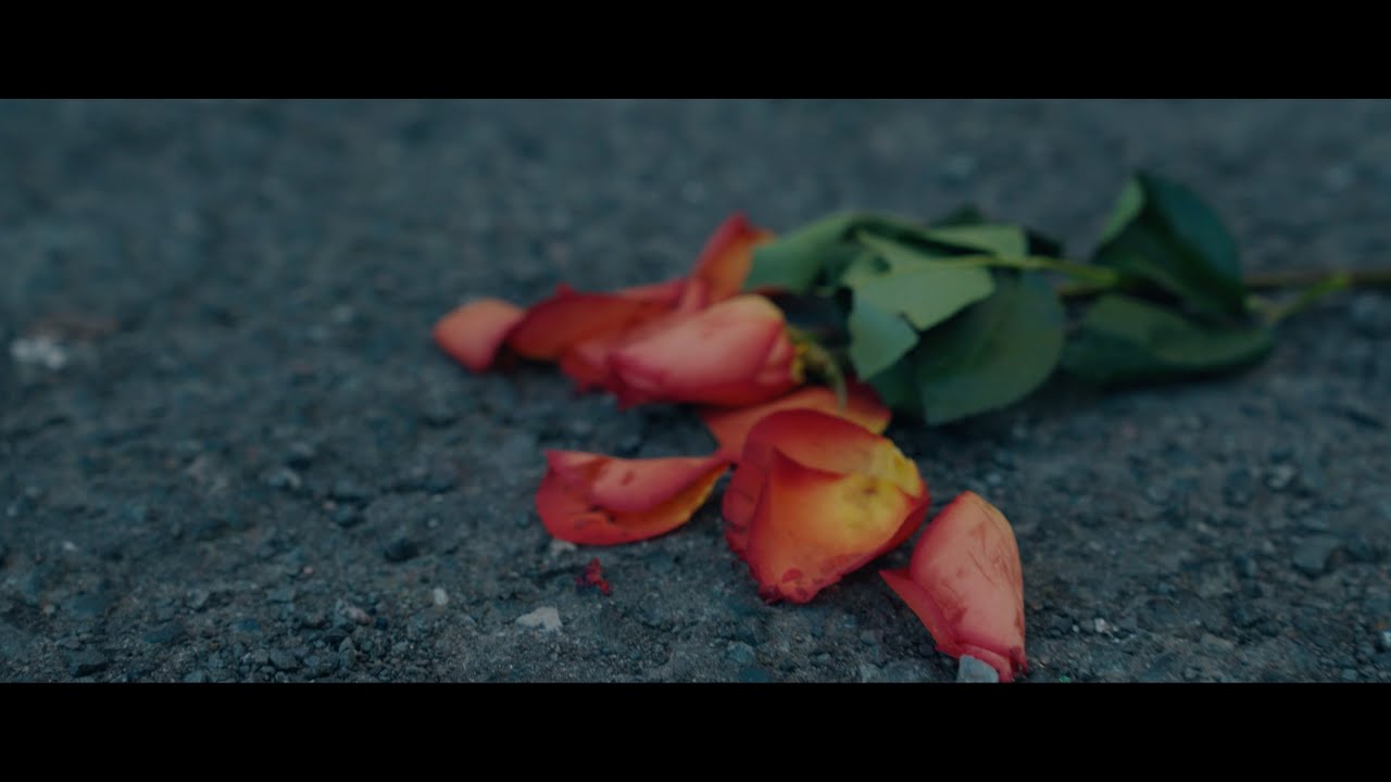 danya x ezno x wacho - Erste Rose (official video)
