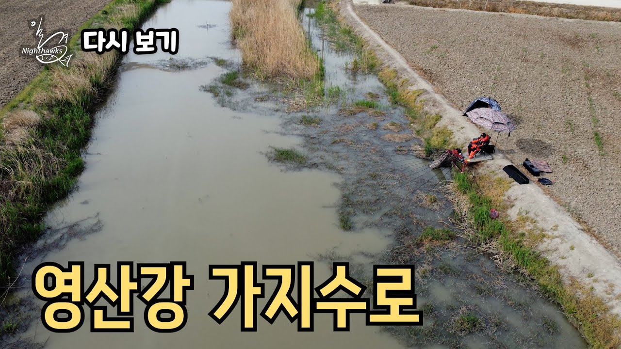 [다시 보기] FishingTV 일격(Nighthawks) 20화 - 영산강 가지수로 (2025.05.30.방송)