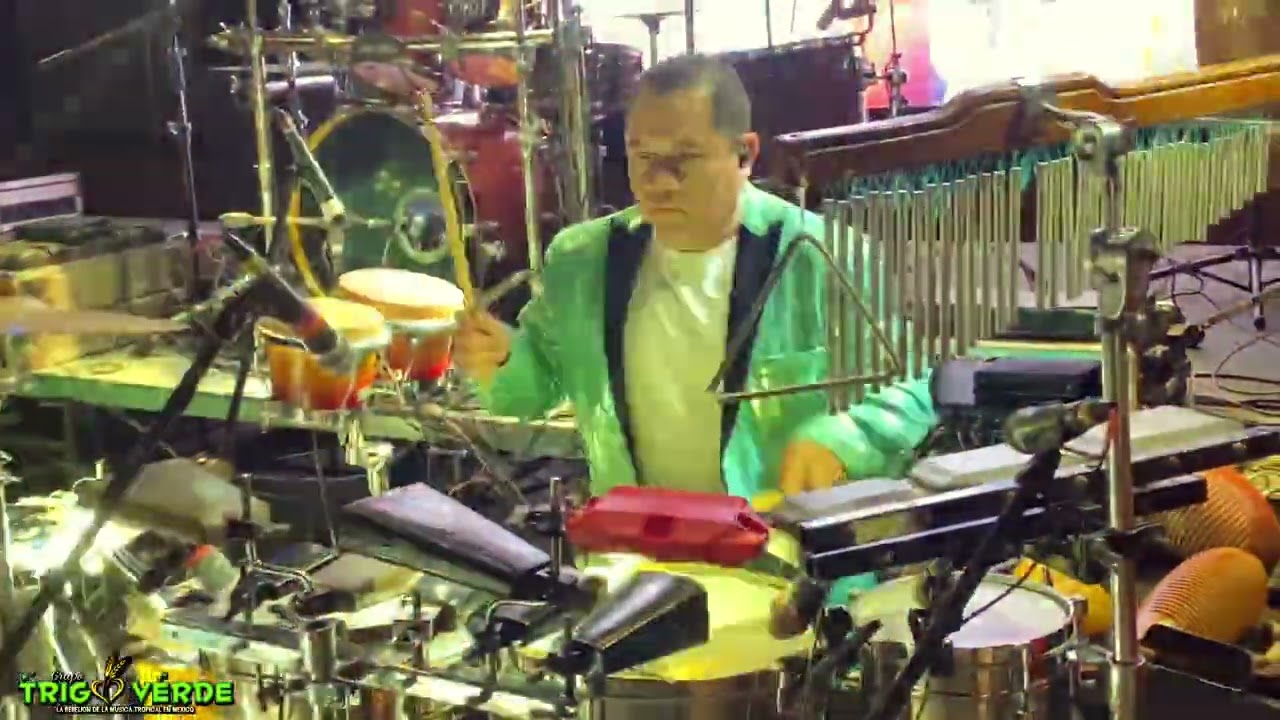 JORGE DOMINGUEZ TIMBALERO DE TRIGO VERDE ( SOLO DE TIMBAL)