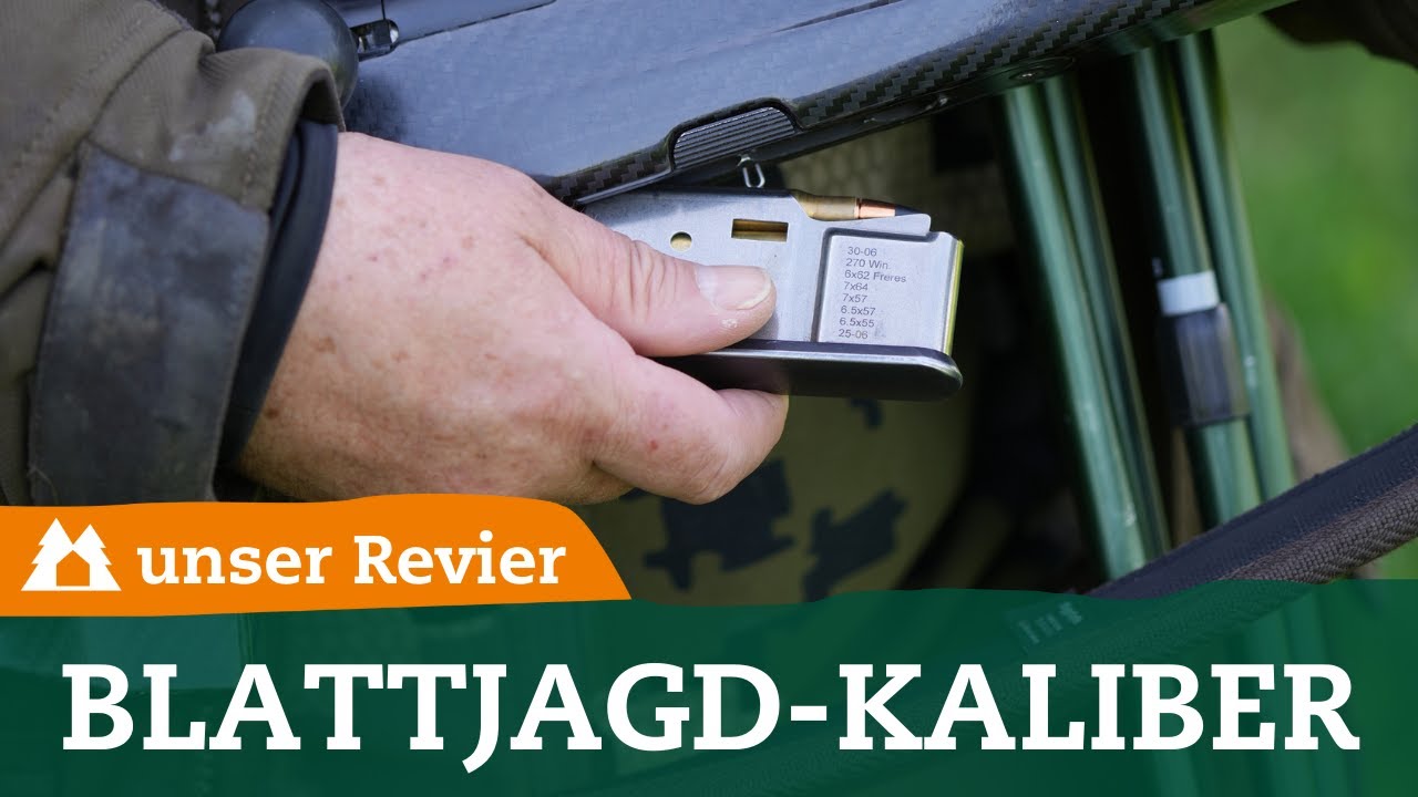 Blattjagdkaliber | Das sind die besten Patronen f&uuml;r die Jagd auf Brunftb&ouml;cke | Bockjagd | Rehwild