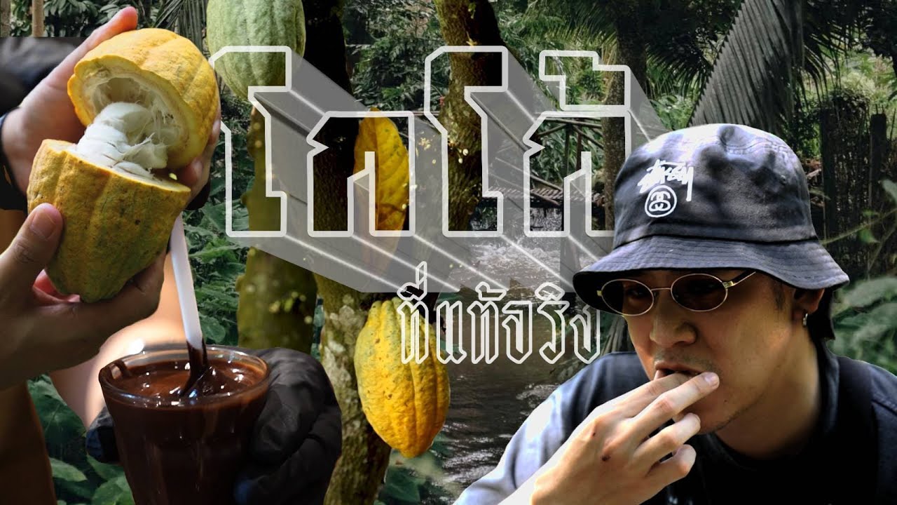 Saran One Day EP.54 I Cocoa Valley ดินแดนโกโก้ ครบวงจร