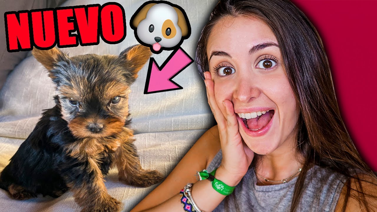 MI NUEVO CACHORRO!! *Alguien lo dejó en la puerta de casa por sorpresa*
