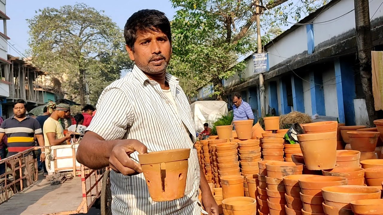 GALIFF STREET FLOWER PLANT MARKET KOLKATA | DIFFERENT TYPES CLAY POT BONSAI POT ORCHID POT 🍯