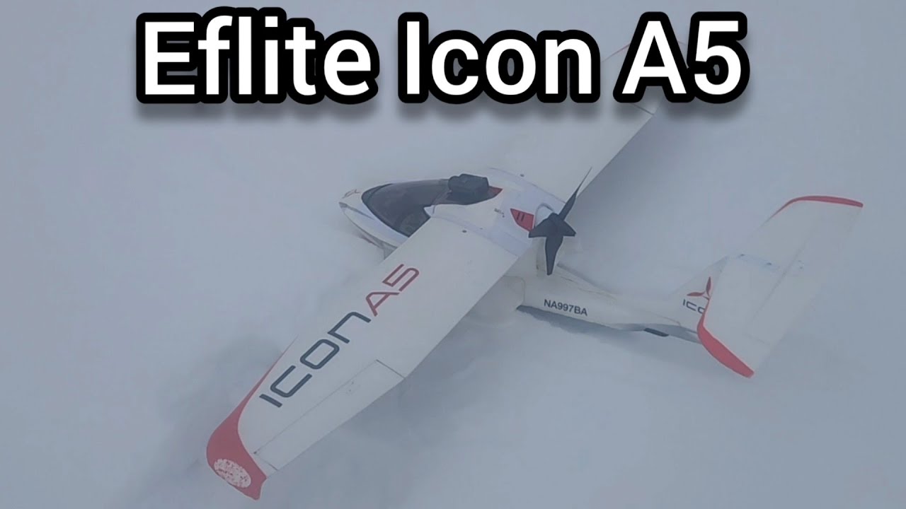 Eflite icon A5 snow flight 