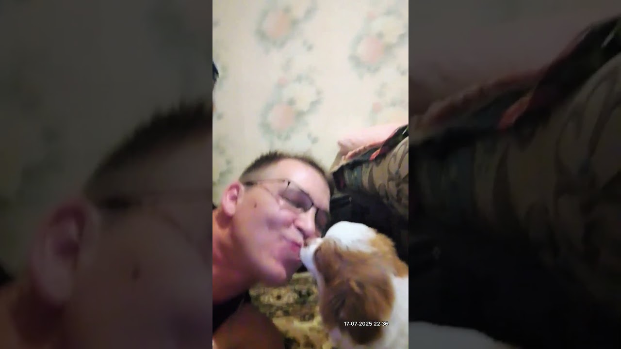 17-07-2025 Мой новый друг украл носок.😁 #laughter #fun #joy #dog #friend #puppy