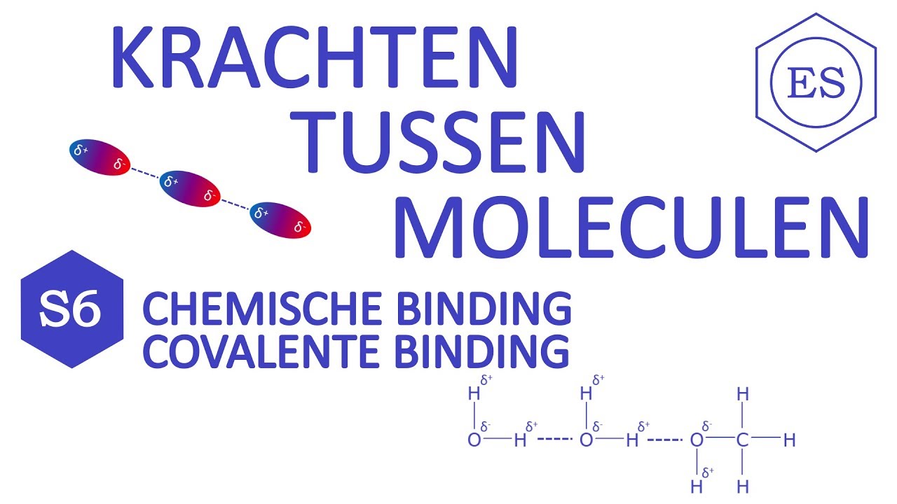 S6 covalente binding - Krachten tussen moleculen