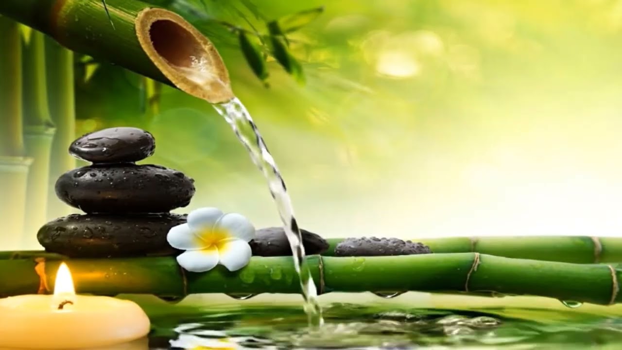 Relaxing Zen Music - Peaceful Bamboo, Water Sounds, Spa Ambience and Healing BGM, Deep Sleep Music