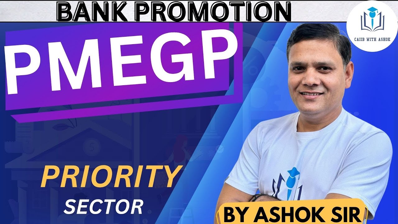 BANK PROMOTION CLASS : PRIORITY SECTOR : PMEGP
