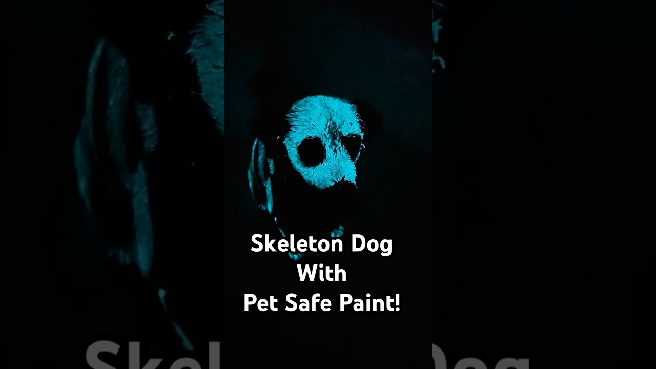 Adorable Dog Costume DIY Using Pet Safe Paint! #Dogs #HalloweenCostume #SpookySeason