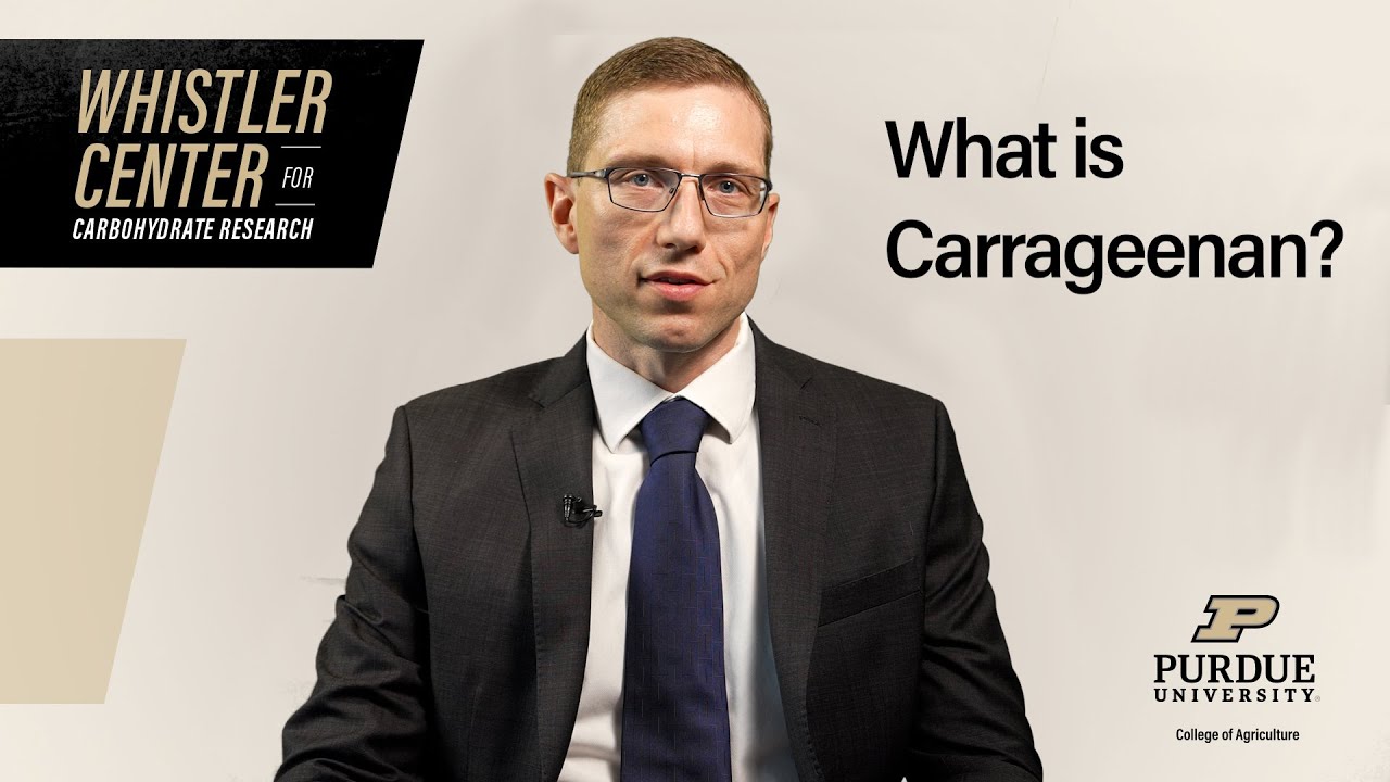 What is Carrageenan?