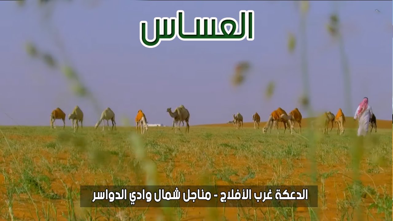 برنامج العساس | الدعكة غرب الأفلاج - مناجل شمال وادي الدواسر 2-8-1438هـ