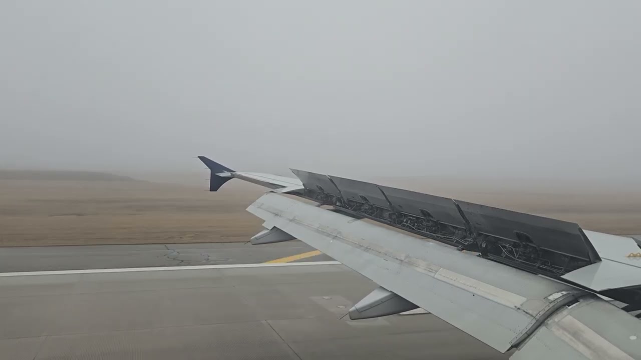 Delta A320 Low Visibility Landing in Detroit