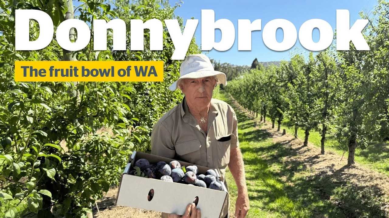 Donnybrook: where apples meet art, adventure and hidden gems