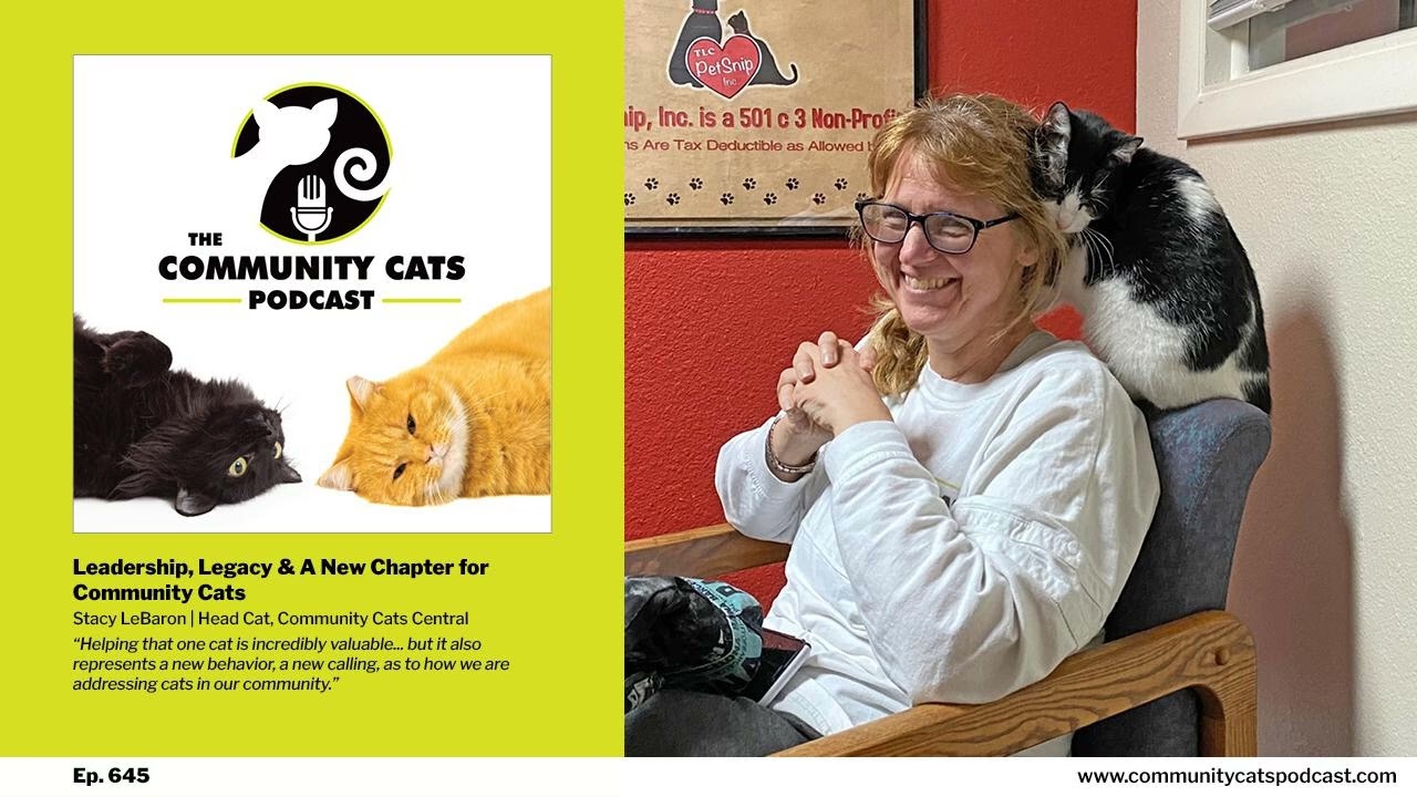 Leadership, Legacy & A New Chapter for Community Cats, Featuring Stacy LeBaron, Head Cat for...