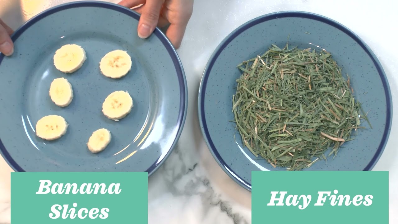 How to Use Hay Fines for DIY Snacks